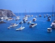 A beautiful photo of Cherry Cove with Lion's Head, circa 1958.